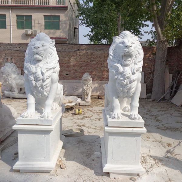Characteristics of The Lion According to The Bible