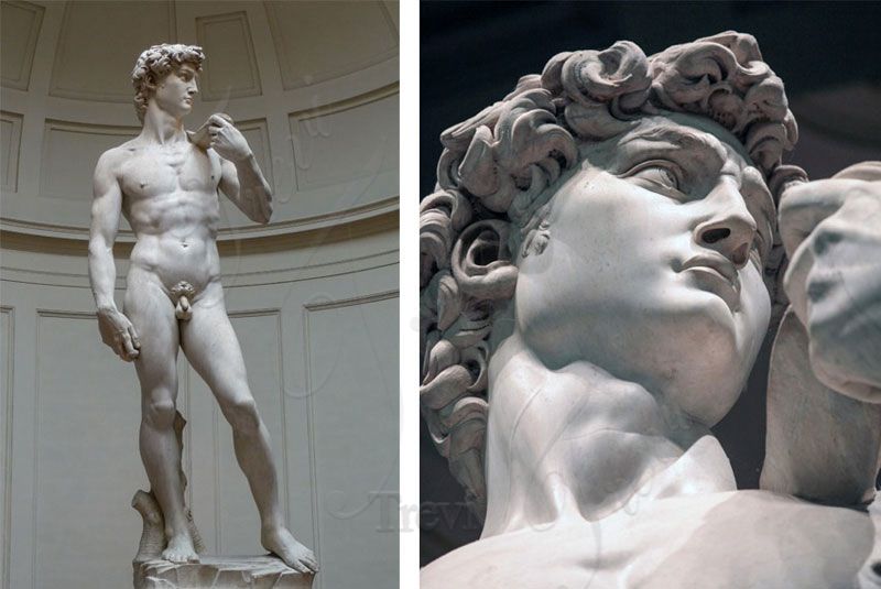 Trevi Could Restore David 100%