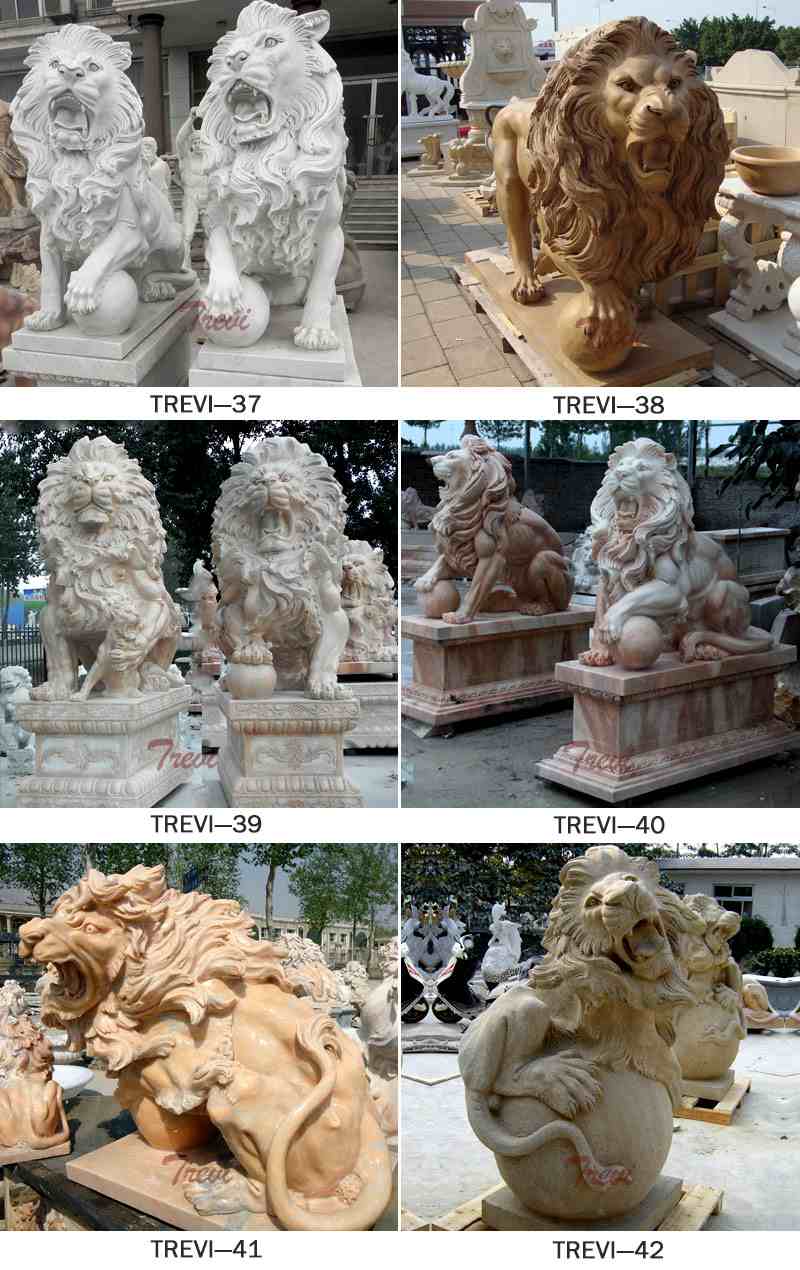 More Lion Category