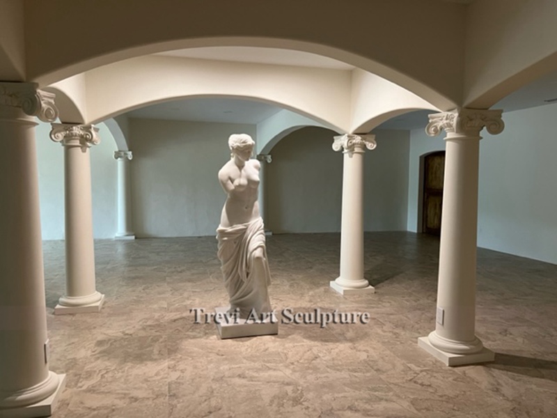 famous marble venus statue feedback
