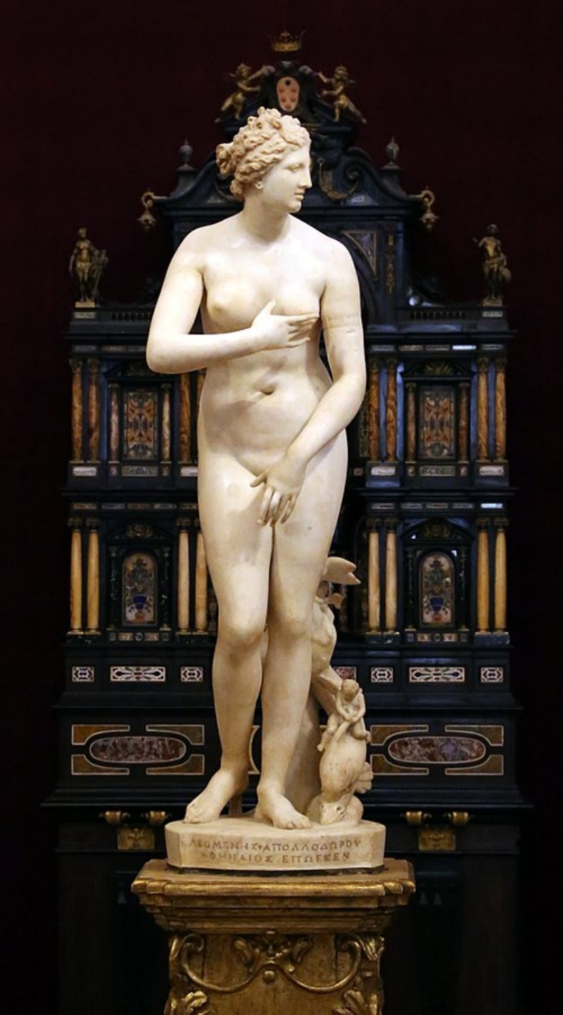 medici venus