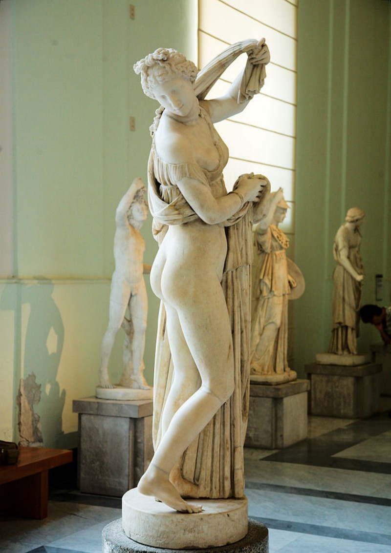 venus callipyge