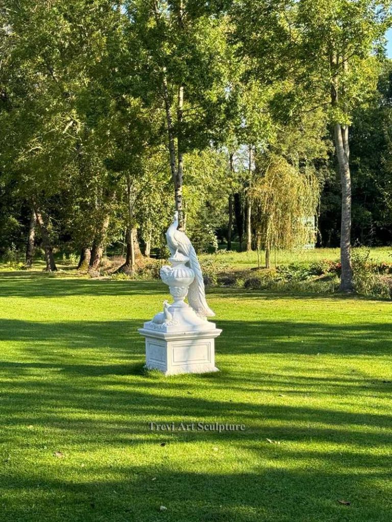 peacock sculpture feedback