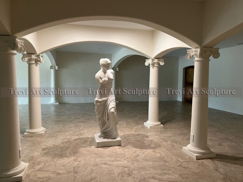 venus statue feedback