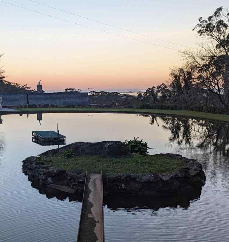 client‘s farm picture